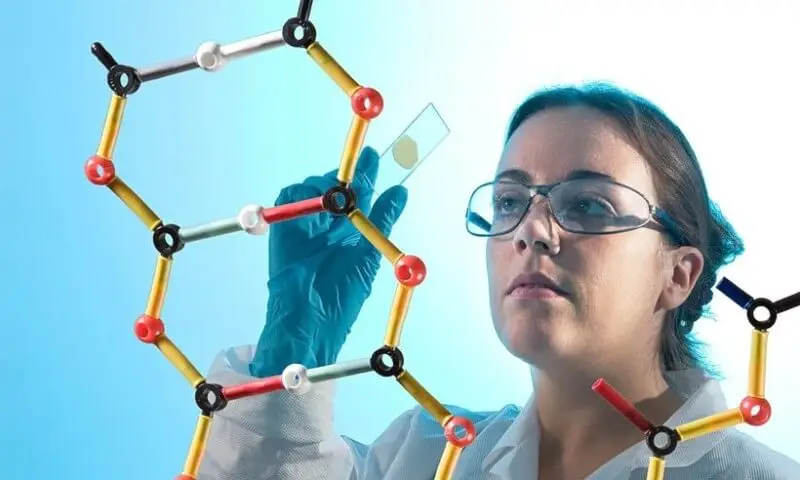 BASF разработала новый изоляционный материал на основе полиуретана.
